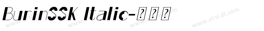 BurinSSK Italic字体转换 BurinSSK Italic字体转换